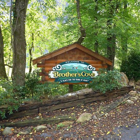 Scenic Serenity #75 Sevierville Exterior foto